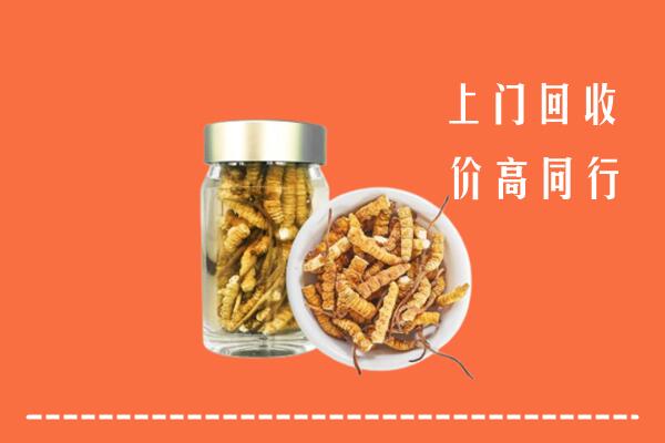 云浮市新兴回收冬虫夏草
