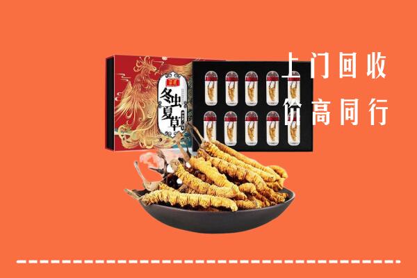 云浮市新兴回收虫草